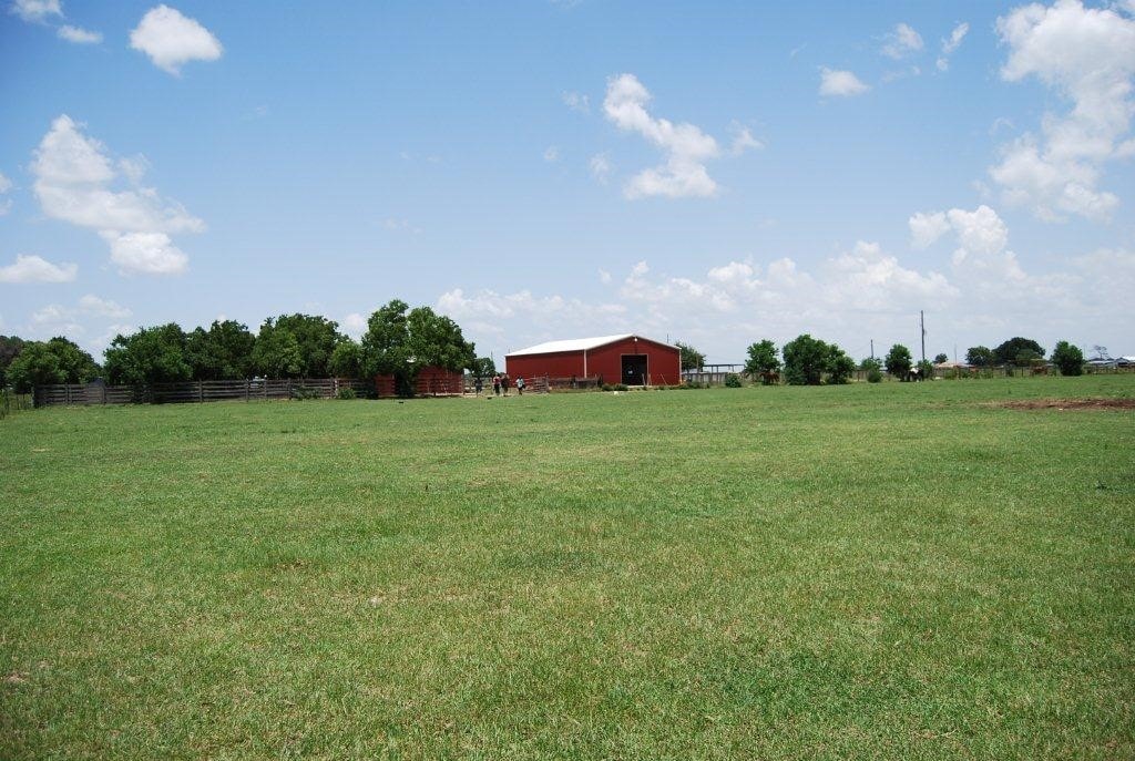 Horse stall at Mandola Farm & Ranch
